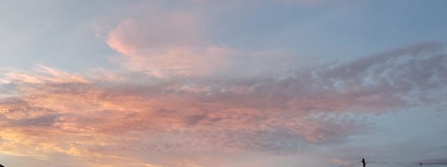 どこにでもいるらしい美咲さん@あたおかさんの壁紙画像