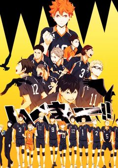 ハイキューの世界に転生したオタク女子