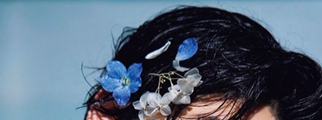 ンゴさんの壁紙画像