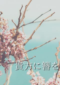 貴方に簪を