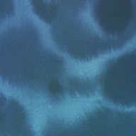 海風さんのアイコン画像