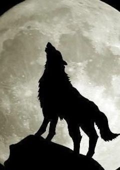 《 人 狼 ゲ ー ム 》