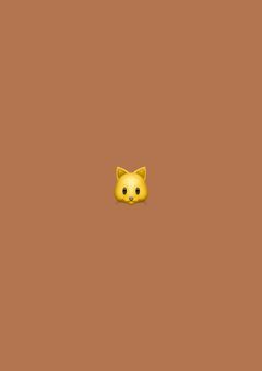 捨てられた猫 。
