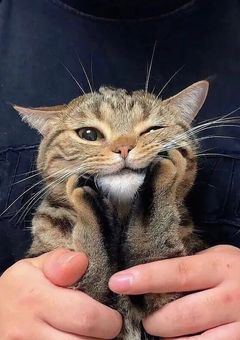 My collection🩷ྀི