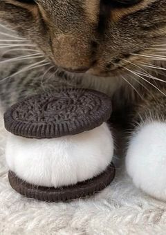 いらすとるーむᝰ✍🏻