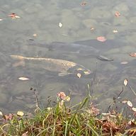 暴れん棒さんのアイコン画像