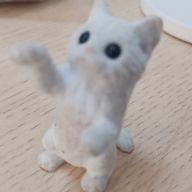 あむさんのアイコン画像