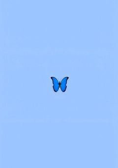 夏コラ組，溺愛中♡.