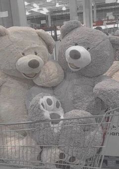 🎪🚷☎️ : バニエデ語り🧸