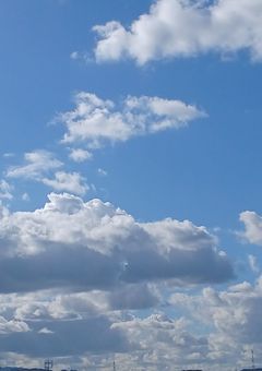 俺クロ