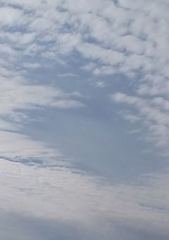 上鳴電気の隠し事が多すぎる！！