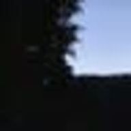 しずさんのアイコン画像