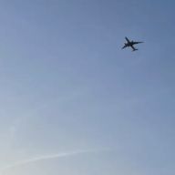 🛬さんのアイコン画像