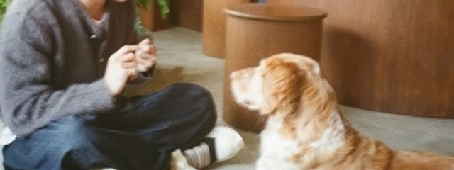 煌河　とあ　🎸🫧🇰🇷さんの壁紙画像