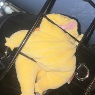 信長ちゃんさんのアイコン画像