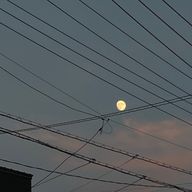 越猪愛さんのアイコン画像
