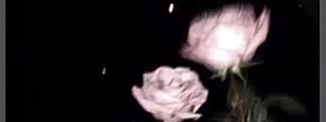 ★YUKI★さんの壁紙画像