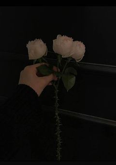 私のヒーロー