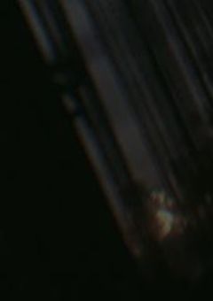 総統＿＿＿＿【wrwrd】
