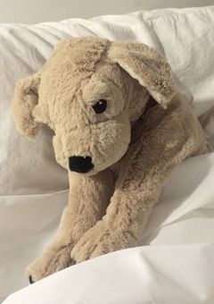 病弱な妹と医者の兄達