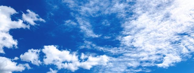 ( ᐙ ) ﾕｳｷ 休止中(戻ります)さんの壁紙画像