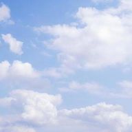 桃華さんのアイコン画像