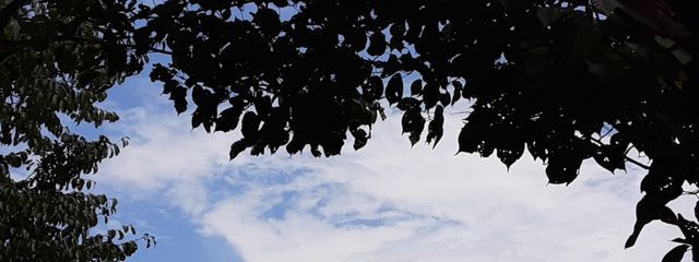 ゆるぎさんの壁紙画像