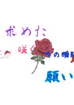 求めた願い    花が咲くその瞬間を