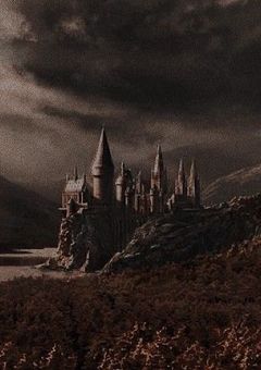 この世界のヒーローは誰だと思う...？【賢者の石】