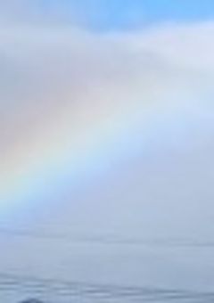 《ボス達に愛されてます！？》ストグラオリジナルストーリー