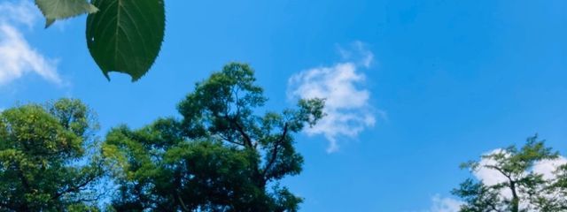 らな  さんの壁紙画像