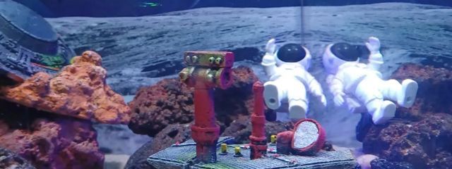 r      フォロバ100% さんの壁紙画像