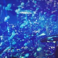 r      フォロバ100% さんのアイコン画像