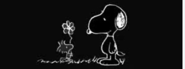 めいさんの壁紙画像