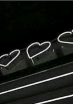 愛の絆、田中家の奇跡