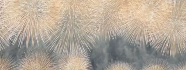 みみさんの壁紙画像