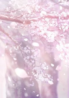 専