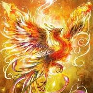 朱雀◆早大野球部推し◆さんのアイコン画像