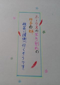 ホークスの生き別れの双子の妹、雄英に護衛に行くそうです。