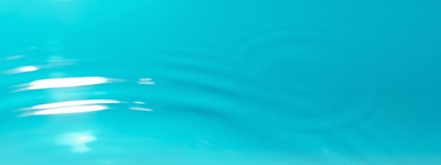 苺さんの壁紙画像