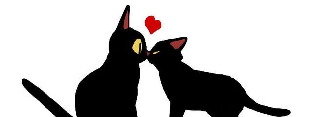 榊あおいさんの壁紙画像