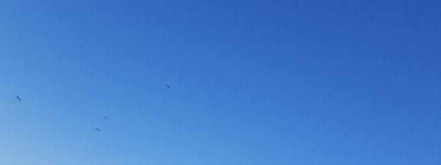 空☁️さんの壁紙画像