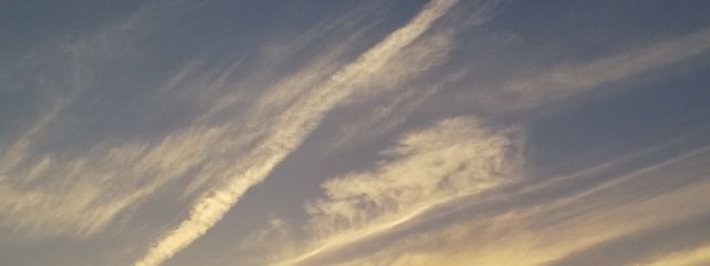 つきみうどん🎑🌙@休止中さんの壁紙画像