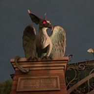 祿ノ峰竜太さんのアイコン画像