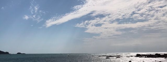 くろうさぎ   さんの壁紙画像