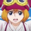 コアラ
