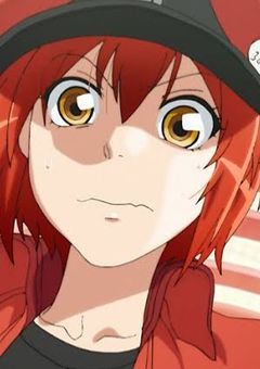 人間の世界に来た赤血球