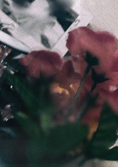 來　弔　専　部　屋　,