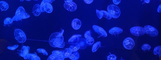 心斗 @ペア画ちゅさんの壁紙画像