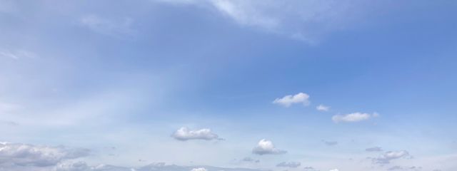 ぶぃぶぃさんの壁紙画像